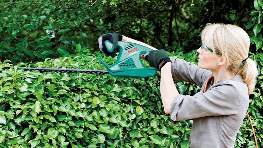 Le taille-haies 600 W Power AHS 55-26 Bosch