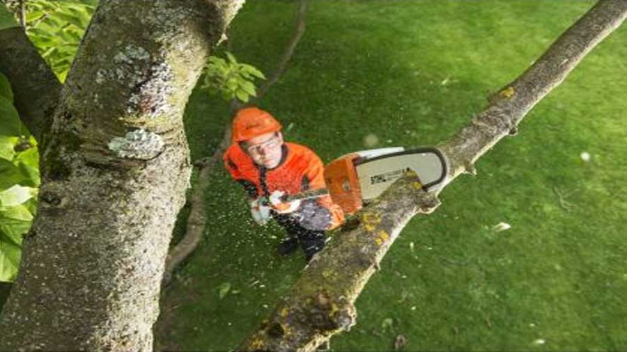 Perche d’élagage sans fil Stihl HTA 65