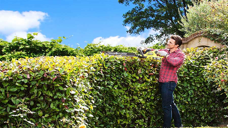 Taille-haie hybride Ryobi 18V ONE+ 50 cm RHT1850H25HS 