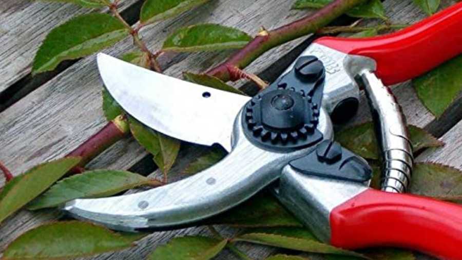 Sécateur à main FELCO 5