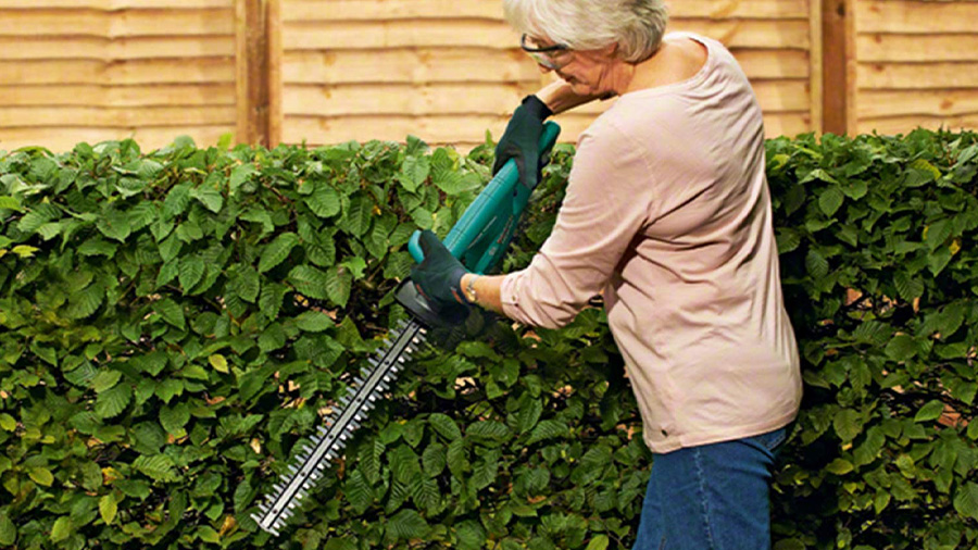 Taille-haies sans fil EasyHedgeCut 12-35 Bosch