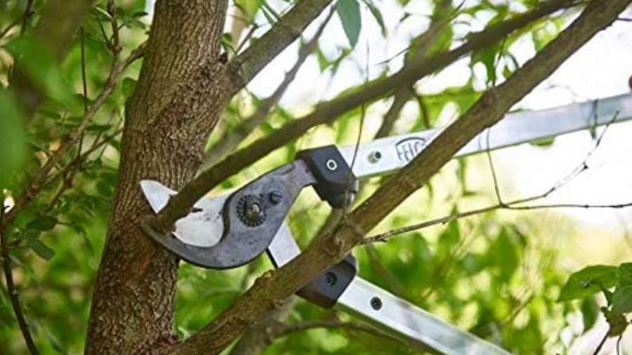 élagueur à main Felco 211 - 40