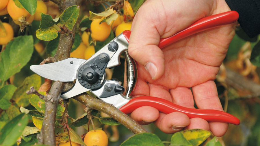 Sécateur multifonction à main FELCO 6