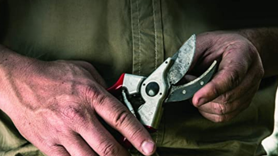 Sécateur à main FELCO 2 