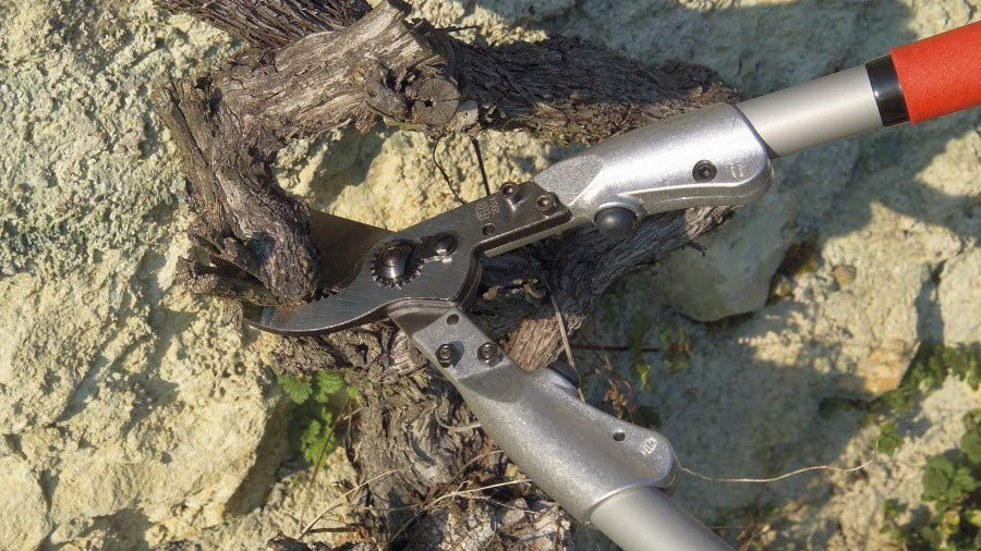 élagueur multicolore Felco 200A - 40