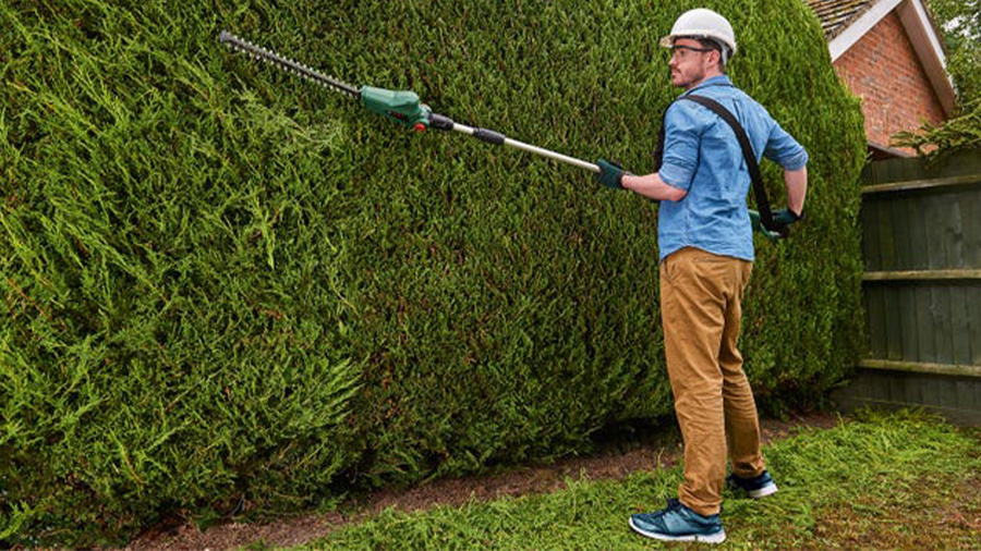Taille-haies sans fil UniversalHedgePole 18 Bosch