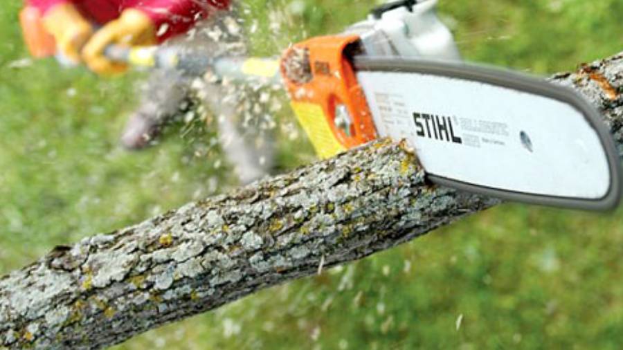 Perche d’élagage électrique Stihl HTE 60