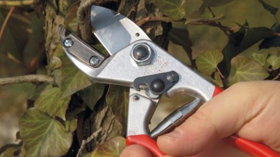 Sécateur à main FELCO 31