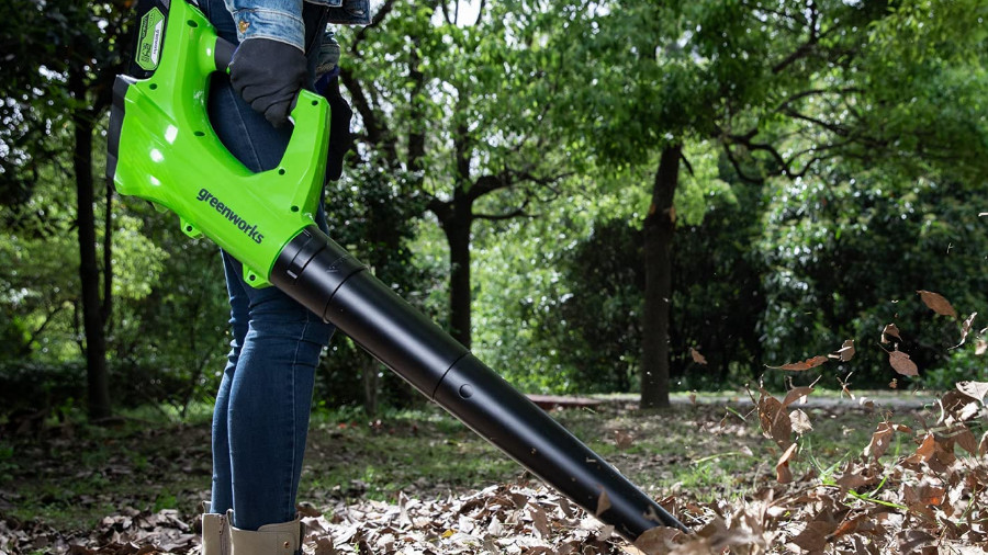 Souffleur de feuilles axiales à batterie G24ABK2 Greenworks