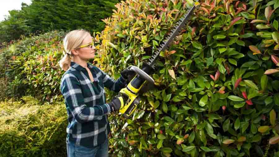 Taille-haies Sans fil RHT36C61R20S RYOBI 