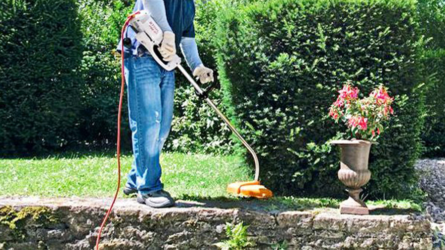 Coupe-herbes électrique FSE 71 STIHL
