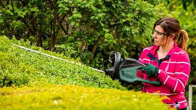 Taille-haies Universal HedgeCut 65 Bosch Taille-haies Universal HedgeCut 65 Bosch