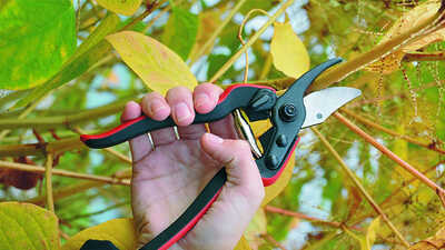 Le sécateur à une main 160 S Felco Le sécateur à une main 160 S Felco