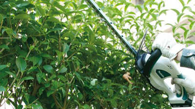 Taille-haies UH522DW Makita