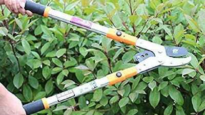 Sécateur enclume Heavy Duty Ratchet Lopper FMOGGE