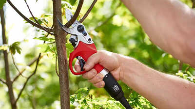 Le sécateur électrique 812HP FELCO Le sécateur électrique 812HP FELCO