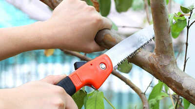 Scie à élaguerie pliante Liummrcy Scie à élaguerie pliante Liummrcy