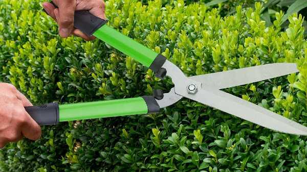 Lot d’outils de Jardinage vert ‎10043538 Relaxdays : trois sécateurs manuels tranchants
