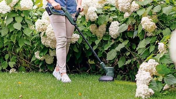 Bien désherber un jardin pour le garder sain