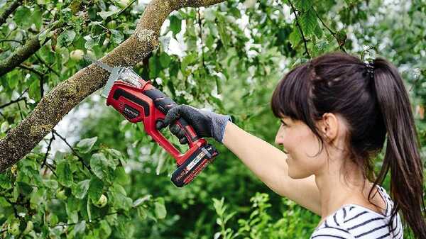 Coupe-branches sans fil GE-GS 18/150 Li-Solo Einhell : couper les branches épaisses