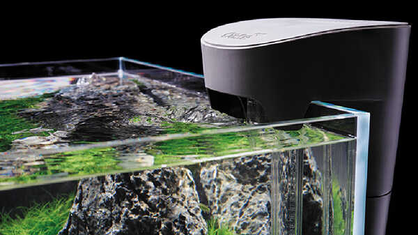 Le filtre BioStyle 180 OASE : l’équipement idéal pour les aquariums