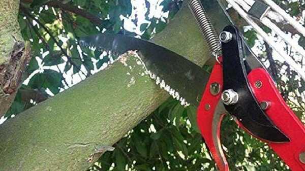 Sécateur à branches haute altitude Tree Pruner Eolaks