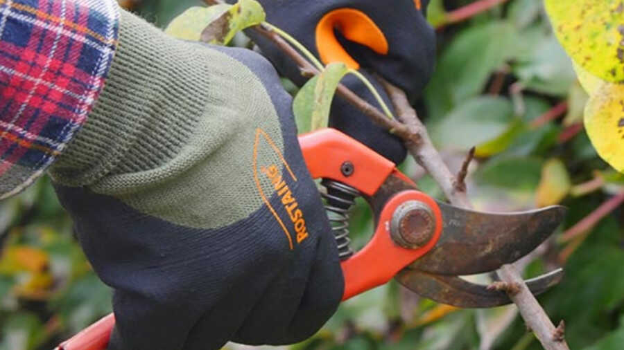 Gants de jardinage MIDSEASON-I Rostaing