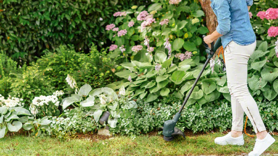 Coupe-bordures EasyGrassCut 23 06008C1H00 Bosch