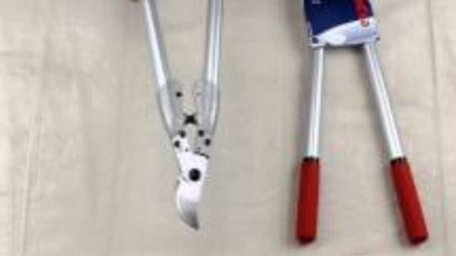 élagueur Felco 210A - 50