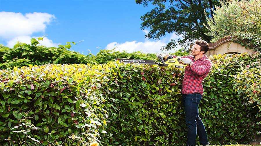 Taille-haie hybride Ryobi 18V ONE+ 50 cm RHT1850H25HS 