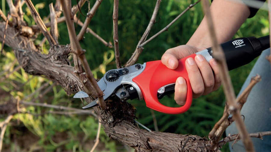 Le sécateur : l'outil indispensable du jardinier