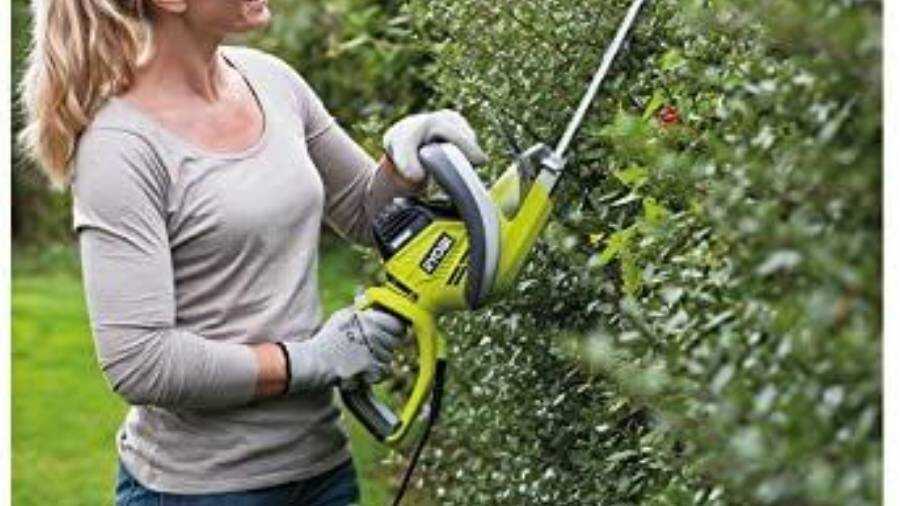 Taille-haies électrique RHT6160RS Ryobi