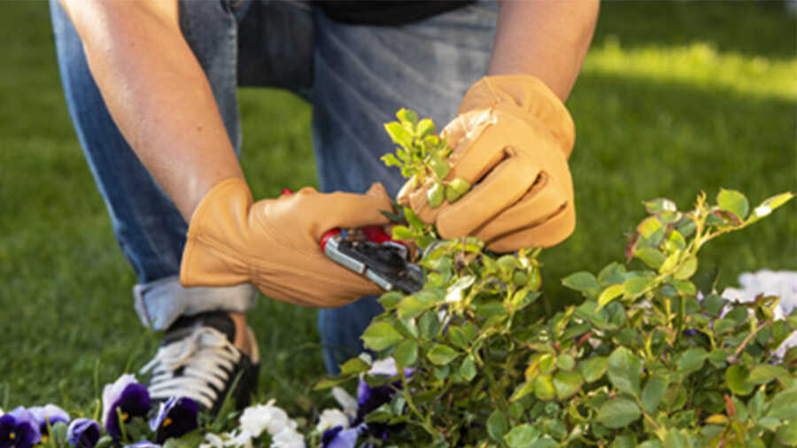 Les gants de jardinage 703 Felco