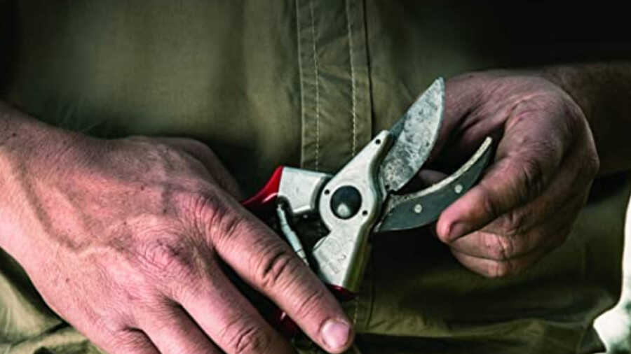Sécateur à main FELCO 2 