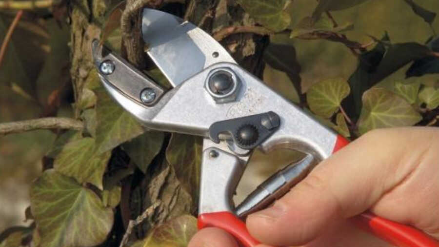 Sécateur à main FELCO 31