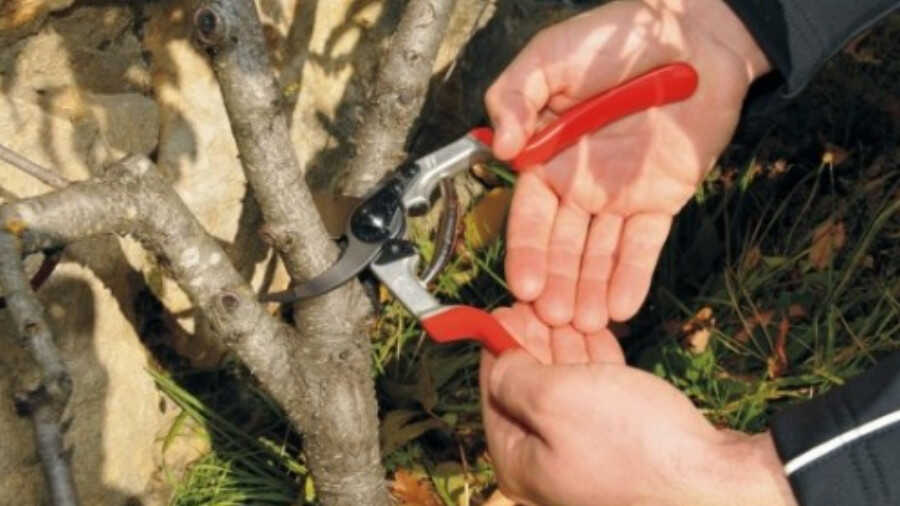 Sécateur multifonction FELCO 13 pour 1 ou 2 mains