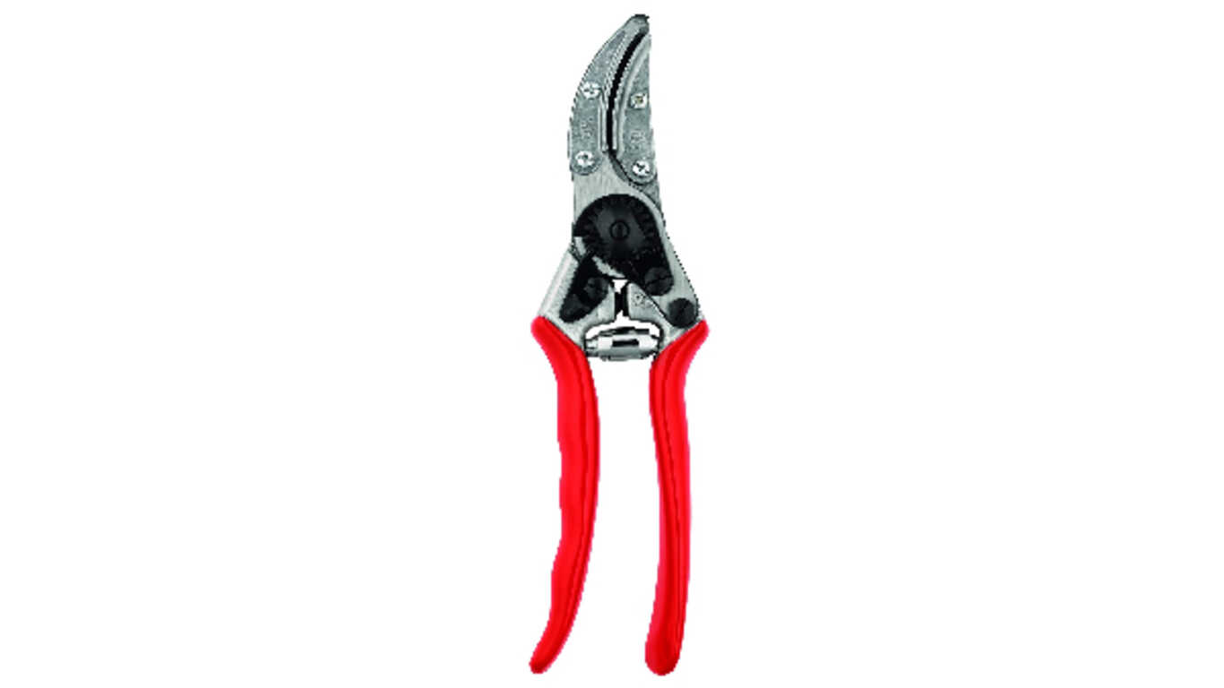 Le sécateur à main 100 FELCO : pour un meilleur entretien des fleurs Le sécateur à main 100 FELCO : pour un meilleur entretien des fleurs
