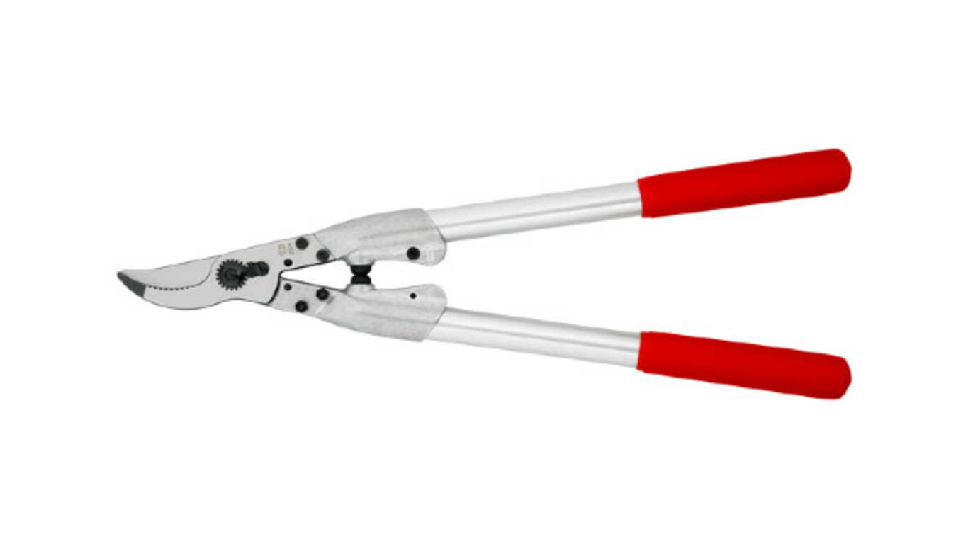 élagueur à main Felco 200A - 50 élagueur à main Felco 200A - 50