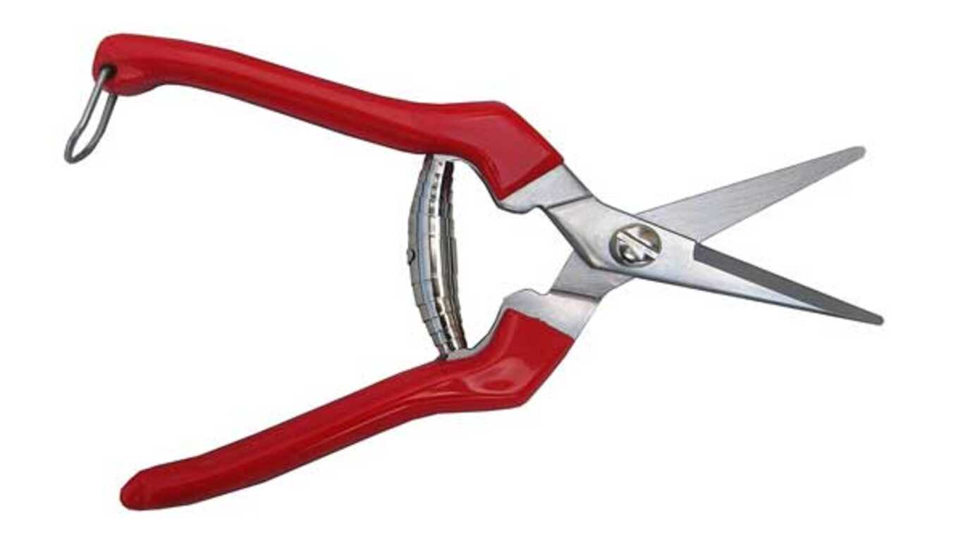 Sécateur TABOR TOOLS K77E